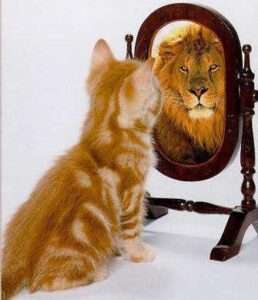 a photo of a pussycat who sees a lion in its reflection
