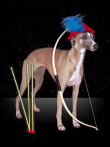 a photo of a dog Sagittarius