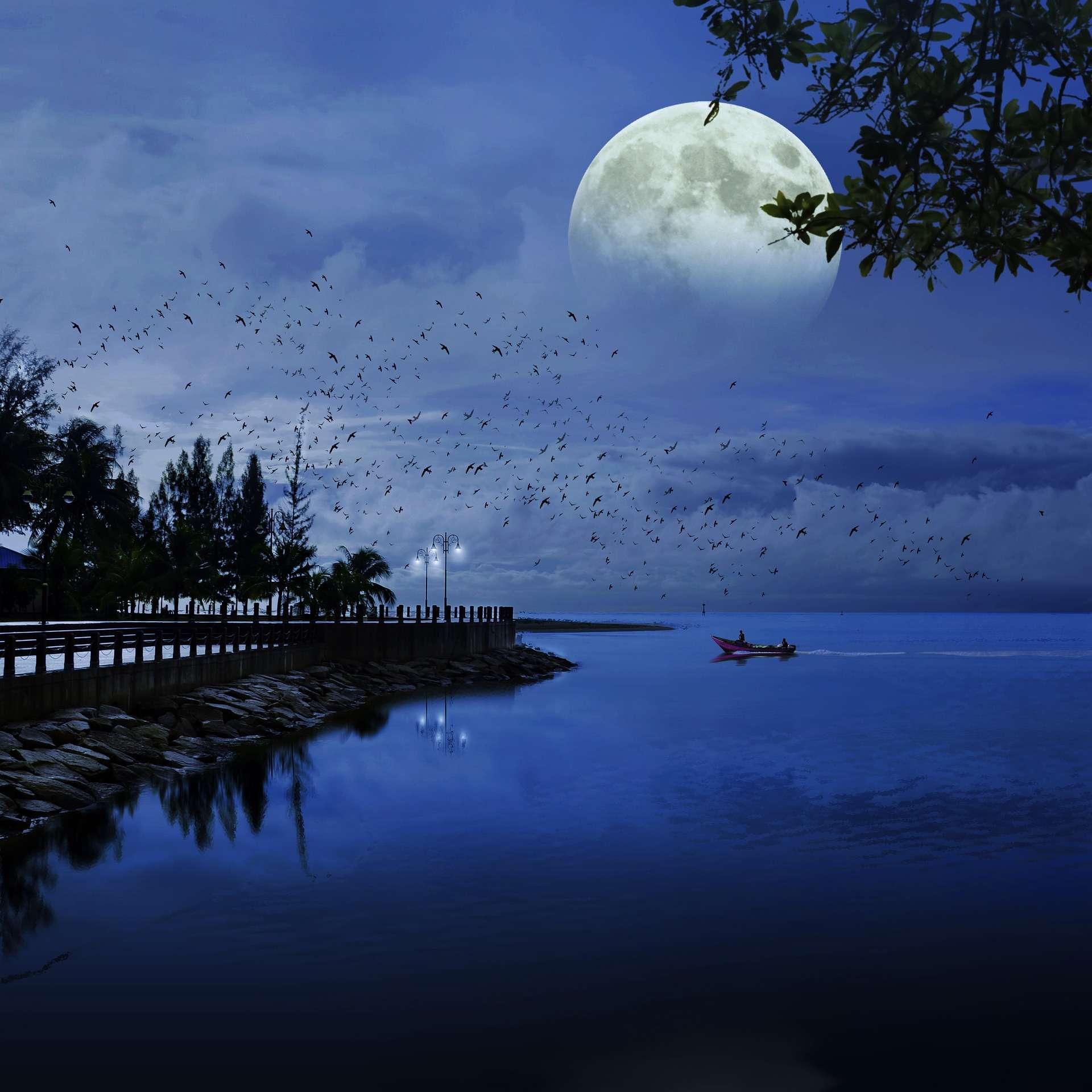 The Super Full Moon In Taurus Sally Kirkman Astrologer