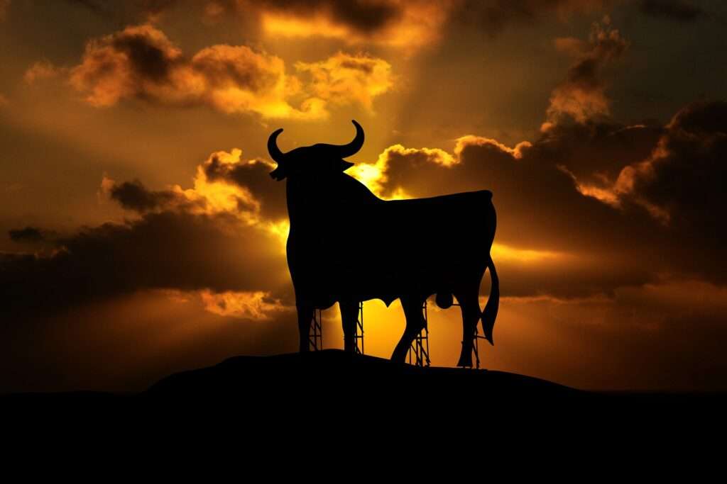Taurus the bull